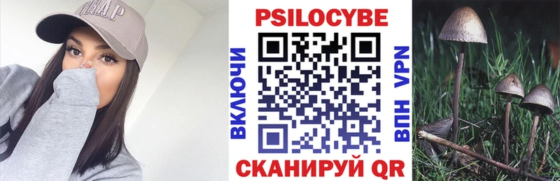 Псилоцибиновые грибы Cubensis  Билибино 